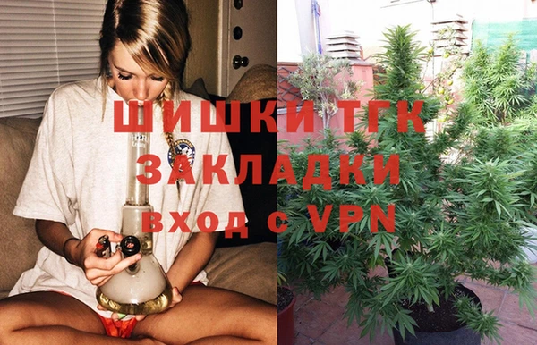 сатива Белоозёрский