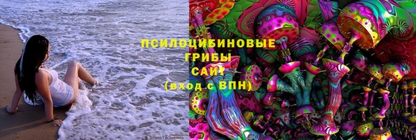 сатива Белоозёрский