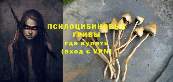 гашик Белокуриха