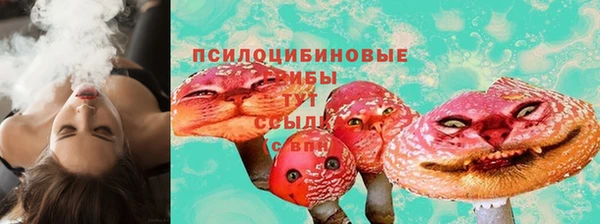 сатива Белоозёрский