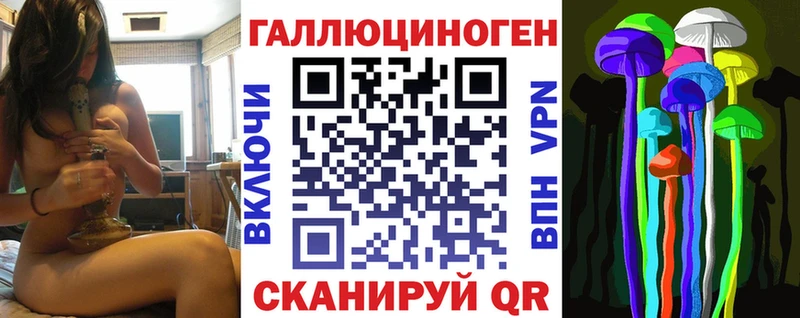 Псилоцибиновые грибы Psilocybe  Берёзовский 